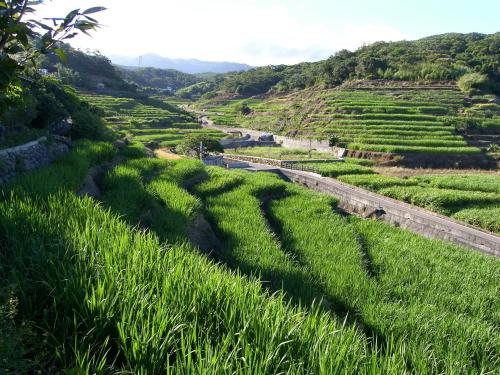 一亩田民宿