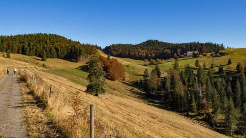 berggasthaus gisiboden alm 德国 托特瑙