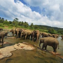 平纳瓦拉 27家酒店