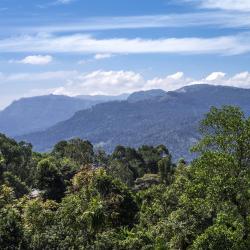 拉马伯达 10家酒店