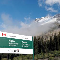 Jasper National Park Entrance 1家酒店