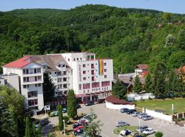 Hotel Vacanta