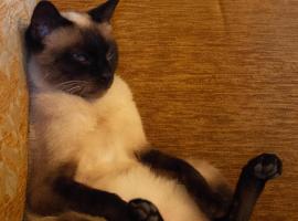 Armine's B&B - Bed and Breakfast