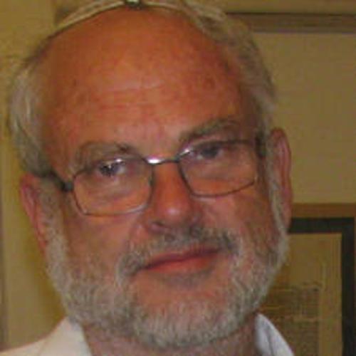 Avraham Segal