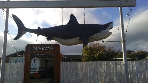 Mr. sharkey