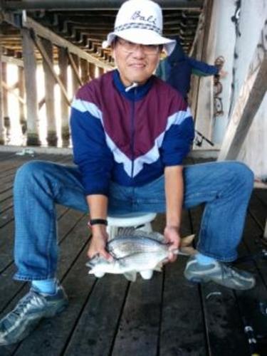 the fisho