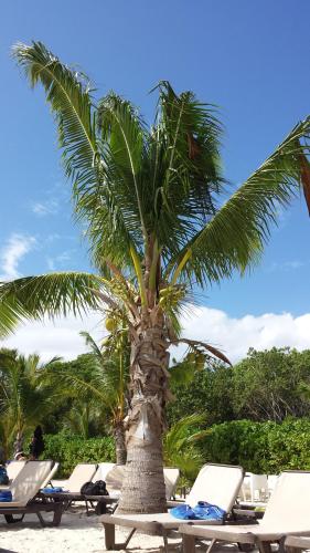 One of the beautiful beaches in Playa del carmen