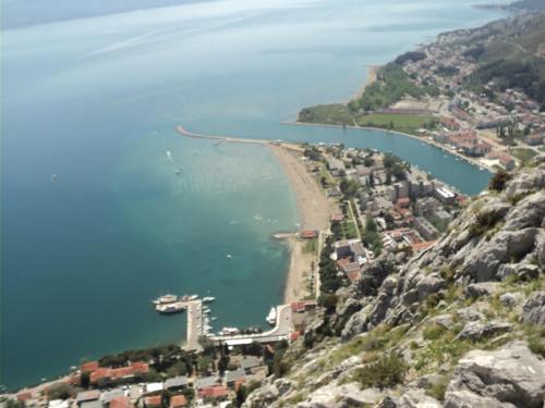 Omis